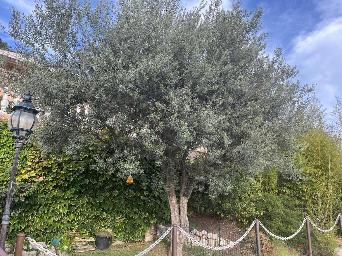 Saint-André Chambres Chez L'Habitant Villa L'Ile Aux Anges מראה חיצוני תמונה